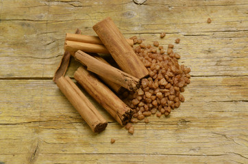 Cinnamomum verum Ceylon-Zimtbaum Expo Milano 2015