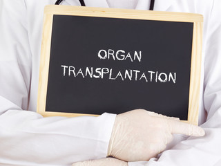 Doctor shows information: organ transplantation