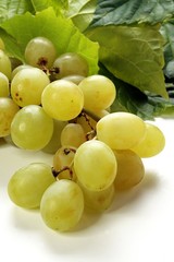 white grapes on a background of green leaves