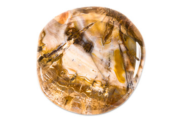 Precious gem on white background, fossil wood