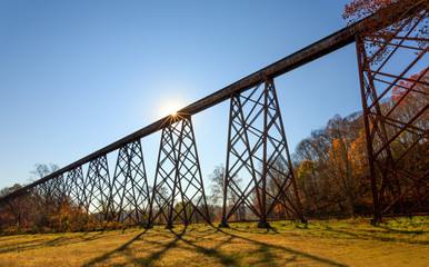 Tulip Trestle Sunburst
