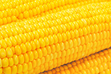 Fresh raw corn on white background. isolated