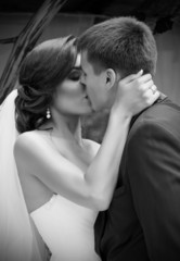 Newlyweds kissing and summer day (monochrome)