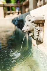 Fototapeta na wymiar Lion Fountain with sun light .