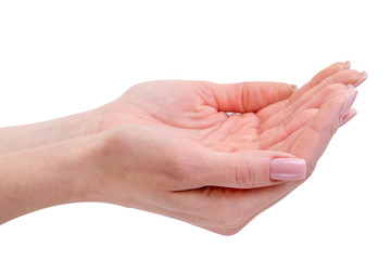 hands of young woman - isolated on white background