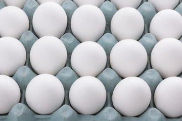 Egg packaging isolated on white background