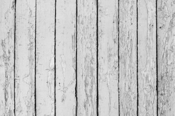 Fototapeta premium Wood texture background