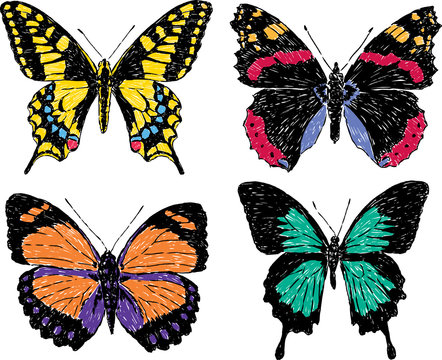 butterflies sketches
