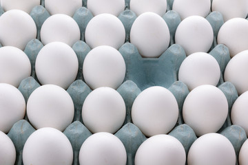 white Eggs in the packaging