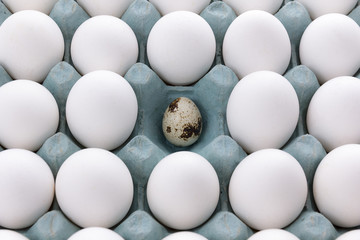 white Eggs in the packaging and quail egg