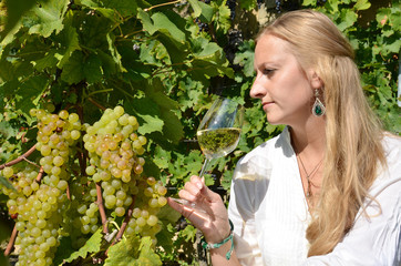 Girl tasting white wine among vineyards. Lavaux, Switzerland