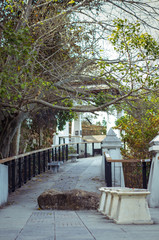 Walkway with columns and trees