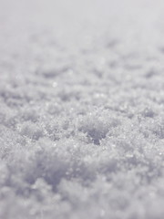 Obraz premium Snow Surface