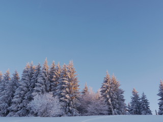 snow landscape winter