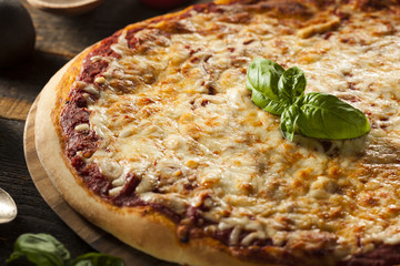 Homemade Hot Cheese Pizza