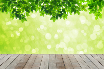 Naklejka na ściany i meble Beautiful Green leaves on white background