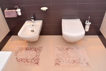 Bathroom interior with the sanitary equipment