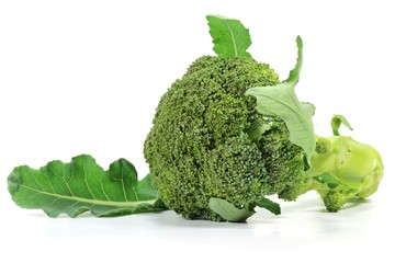 Broccoli isoliert auf weißem Hintergrund