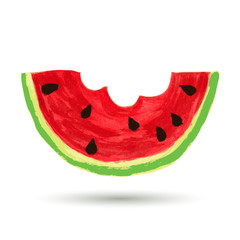 Watercolor painting, slice watermelon on white background. Vecto
