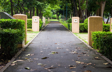 Fototapeta premium Green city park , walkway for exercise