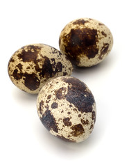 quail eggs