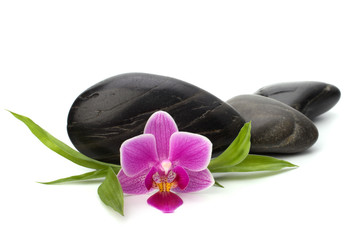 Zen pebbles path. Spa and healthcare concept.