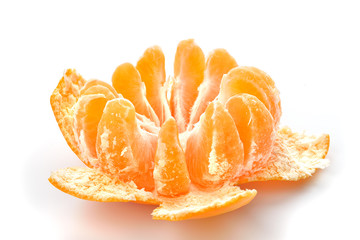 mandarino spicchi fondo bianco