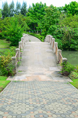 Beautiful bridge in the park