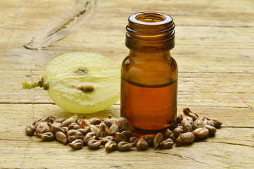 포도씨유 Grape seeds Olio di vinaccioli  Seed oil Expo Milano 2015