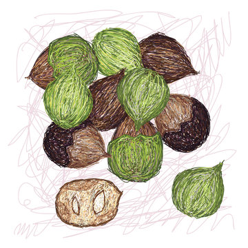 island walnut