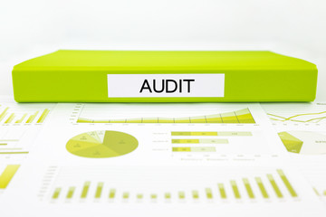 Audit reports, graphs, charts, data analysis and evaluation docu