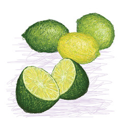 lime citrus fruit