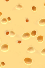 Gruyère / Emmental - Swiss cheese