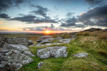 Autumn on the Moors