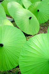 Umbrella factory.