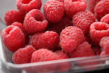 Fresh organic raspberries in plastic container