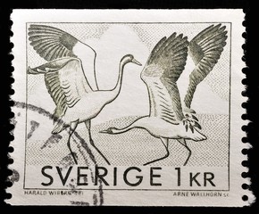 Fototapeta na wymiar Stamp