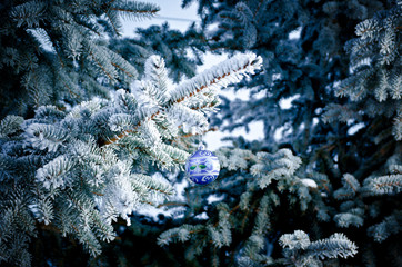 Christmas Tree Branch