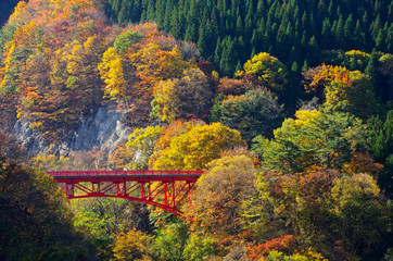 松川渓谷　赤い橋と紅葉