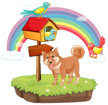 Dog and birdhouse
