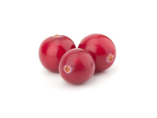 Cranberry isolated on white background closeup