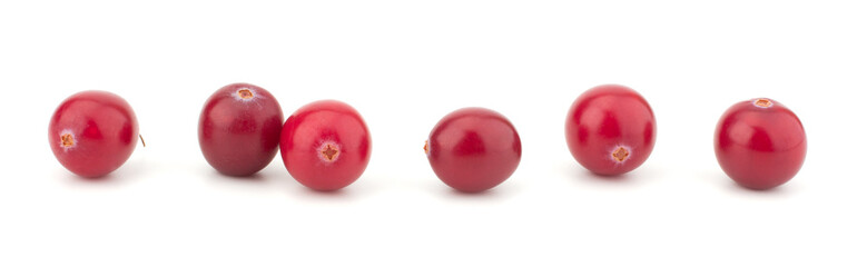 Cranberry isolated on white background closeup