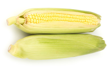 Fresh raw corn cobs isolated on the white background © EM Art