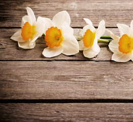 spring flowers on wooden background