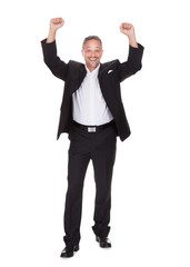 Successful Businessman Standing Hands Raised
