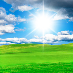 Obraz na płótnie Canvas Golf Field Sunny Scene