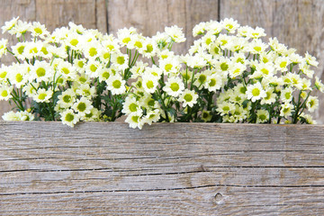 Blumen
