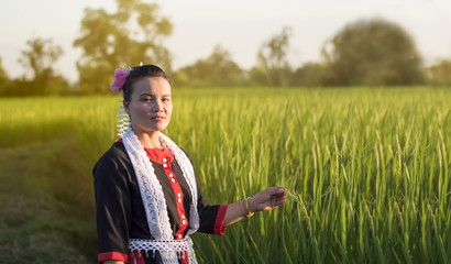 Thailand beautiful woman among .green Rice ;Tribal Thailand Yoi