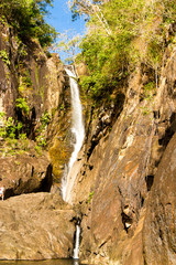 Jungle Scene Natural Magic