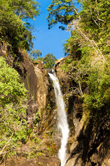 Natural Magic Stream of White